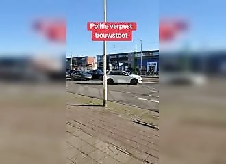 Antwerp police interrupt wedding procession