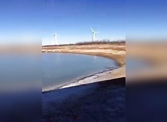 Un homme fait une très mauvaise blague à ses chiens…