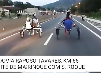 La mafia italienne organise une course illégale de chevaux sur la voie publique