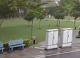 Abritées sous un arbre, 4 personnes se font frapper par la foudre (Inde)