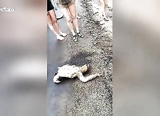 Costa Rica : ils donnent un coup de main à un paresseux piégé au bord d’une route