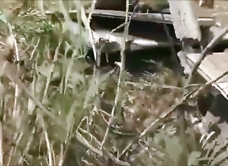 Guatemala : un pilote et son passager se tuent lors d’un show aérien