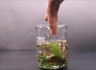 Quelle est l’efficacité du système de filtration LifeStraw ?
