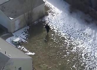 Michigan : un voleur de voiture engagé dans une spectaculaire course-poursuite