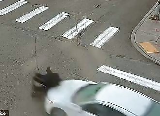 A septuagenarian hits a woman in a wheelchair and flees the scene 