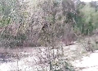 Un automobiliste vient à la rescousse d’un cycliste attaqué par un ours (Russie)