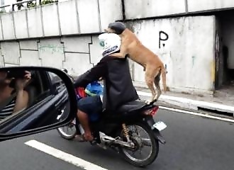 Les photos fun et insolites du 7 Février 2018