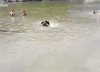 Russie : une femme emmène son ours domestiqué prendre un bain