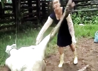 Quand les animaux s’attaquent aux Hommes (Compilation)
