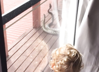 Une mère et son fils assistent à un combat entre deux pythons