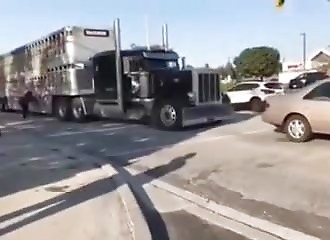 Vegan activists attempt to stop a cattle truck