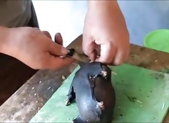 La chair de chauve-souris, un mets très apprécié en Indonésie
