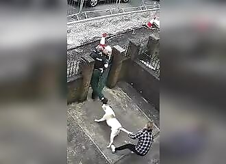 Choc : un policier attaqué par un gros chien, frappé désespérément pour le faire lâcher prise