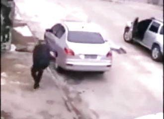 La police intervient au bon moment pour arrêter un braqueur