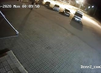 En pleine rue, un homme se fait attaquer par un ours (Russie)