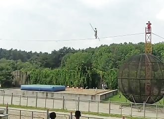 Un acrobate chinois chute lors d'un spectacle d'équilibre (Public averti)