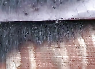 Si vous n’aimez pas les araignées, pas la peine de regarder cette vidéo !