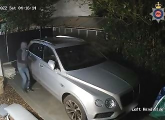  Thieves hit several trees before fleeing 
