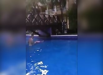 Un flamant rose veut passer en dessous (FAIL)