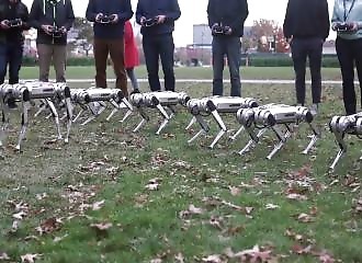Les Mini robots Cheetah s’amusent comme de petits fous