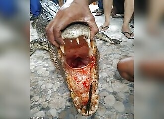  Mother of four killed by crocodile in Indonesia 