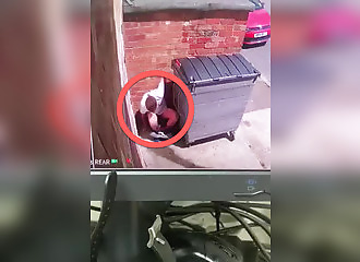 Il le surprend en train de chier devant sa porte, et lui fait ramasser sa merde !
