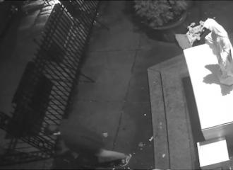 New York : ivre, il urine au pied de la vierge Marie et détruit deux statues d’anges