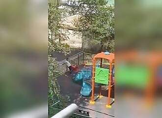 He seems to miss his country goats!