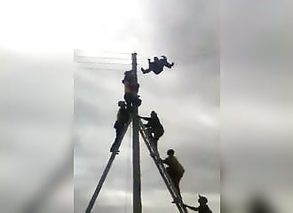 Réfugié sur des lignes électriques, un voleur de chien se fait lyncher