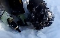 Pris au piège dans la glace, un chiot est sauvé d'une mort certaine (Russie)