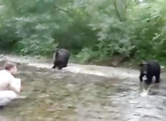 Russie : un pêcheur nourrit un ours sauvage