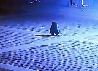 Il lance un énorme pétard dans une bouche d'égouts .. Mauvaise idée !