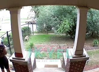 Lors d’une attaque de pitbull, un père abandonne sa fille (États-Unis)