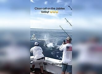 Marlin fishing is so dangerous!