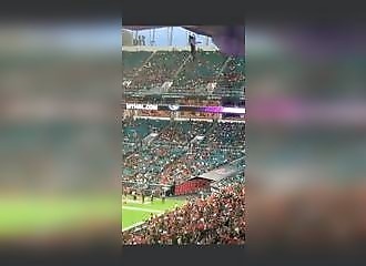 Le moment effrayant où un chat tombe de plusieurs mètres de haut dans un stade