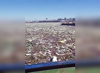 Afrique du Sud : 300 tonnes de déchets sortis des eaux d’un port