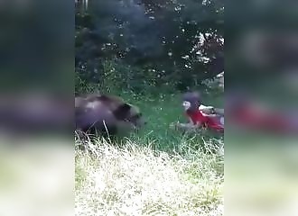 Roumanie : le père l’année laisse sa fille nourrir un ours sauvage