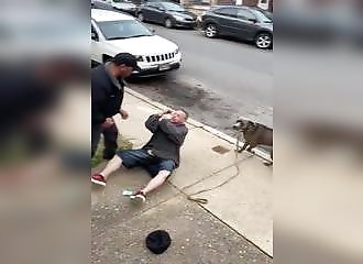 Une chienne tente de défendre son maître qui se fait sauvagement agresser