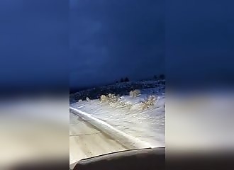 Un wapiti se fait courser par une meute de loups (États-Unis)