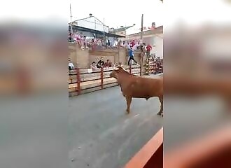 Des spectateurs taquinent le taureau jusqu'à ce que ... il leur saute dessus !
