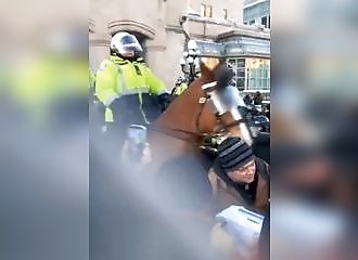 Des manifestants se font écraser par des policiers à cheval à Ottawa