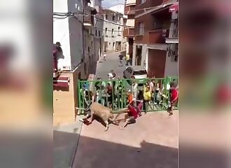 Martyred by a bull, he is saved by a superhero