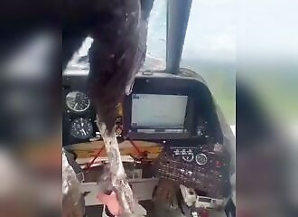  A huge bird crashes into his cockpit 