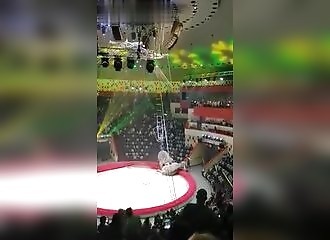 Deux éléphantes se battent en plein spectacle de cirque (Russie)