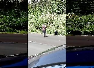 Canada : présentées comme des touristes, ces personnes prennent de gros risques face à un ours