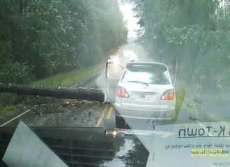 Ouragan Irma : en pleine circulation, un arbre tombe sur une voiture