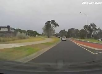 Un chien tombe par la fenêtre d’une voiture (Australie)