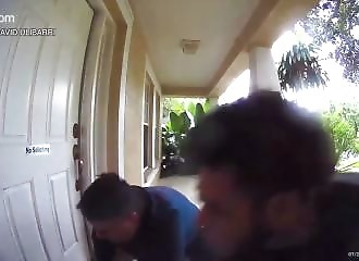 Floride : il sort de chez lui pour promener ses chiens et se fait attaquer par un pitbull