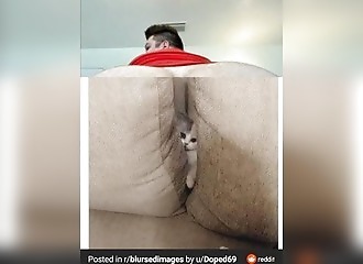 Les photos fun et insolites du 03 mars 2021