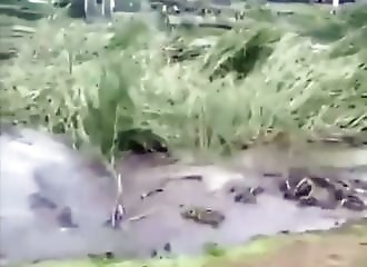 Un étang se fait avaler par des trous formés dans la terre